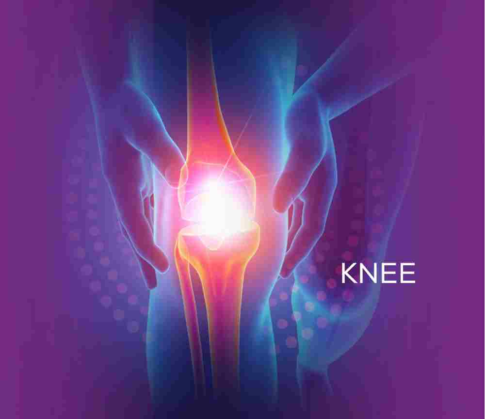 Knee